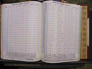 Union Co, NC Marriages Female Index, A-Z, 1980-1993 (141).JPG