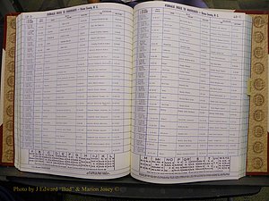 Union Co, NC Marriages Female Index, A-Z, 1980-1993 (146).JPG