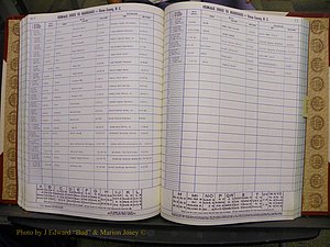 Union Co, NC Marriages Female Index, A-Z, 1980-1993 (152).JPG