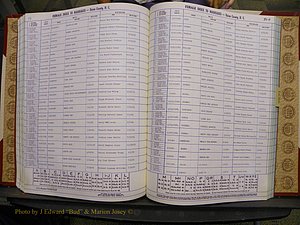 Union Co, NC Marriages Female Index, A-Z, 1980-1993 (158).JPG