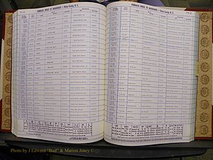 Union Co, NC Marriages Female Index, A-Z, 1980-1993 (161).JPG