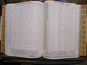 Union Co, NC Marriages Female Index, A-Z, 1980-1993 (162).JPG