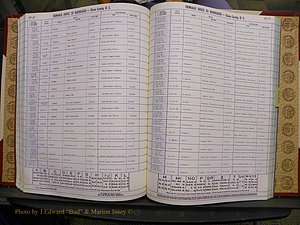 Union Co, NC Marriages Female Index, A-Z, 1980-1993 (163).JPG