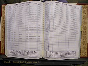 Union Co, NC Marriages Female Index, A-Z, 1980-1993 (173).JPG
