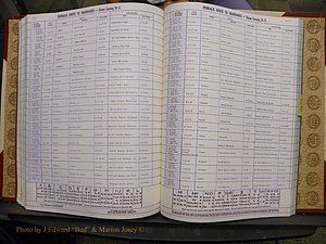 Union Co, NC Marriages Female Index, A-Z, 1980-1993 (185).JPG