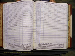 Union Co, NC Marriages Female Index, A-Z, 1980-1993 (60).JPG