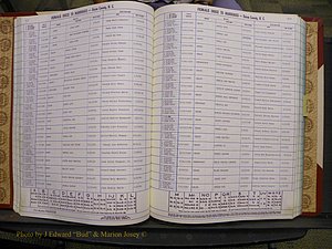 Union Co, NC Marriages Female Index, A-Z, 1980-1993 (81).JPG