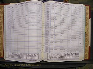 Union Co, NC Marriages Female Index, A-Z, 1980-1993 (86).JPG