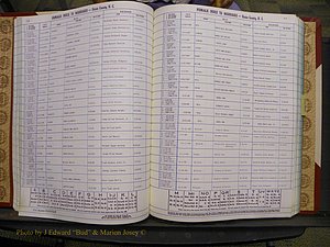 Union Co, NC Marriages Female Index, A-Z, 1980-1993 (87).JPG