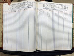 Yadkin Co, NC, Births, A-Z, 1991-2012 (137).JPG