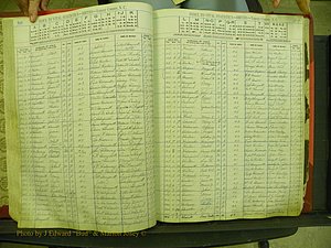 Yancey Births, 1913-1939, Index H, 80-80a.JPG