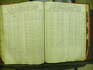 Yancey Births, 1913-1939, Index P, 134L- 135.JPG