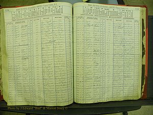 Yancey Births, 1913-1939, Index P, 138-139.JPG