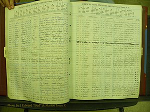 Yancey Births, 1940-1994, Index B, 17a.JPG