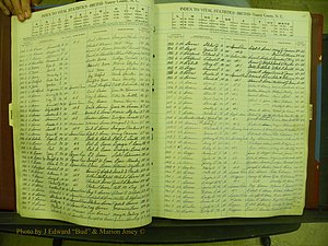 Yancey Births, 1940-1994, Index B, 18.JPG