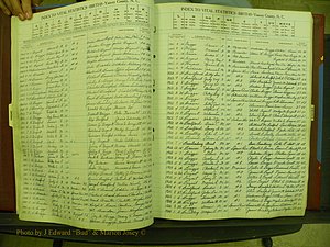 Yancey Births, 1940-1994, Index B, 19b.JPG