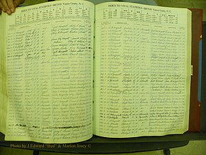 Yancey Births, 1940-1994, Index H, 80a.JPG