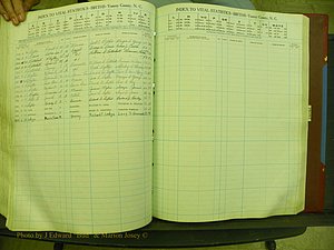 Yancey Births, 1940-1994, Index L, 105b.JPG